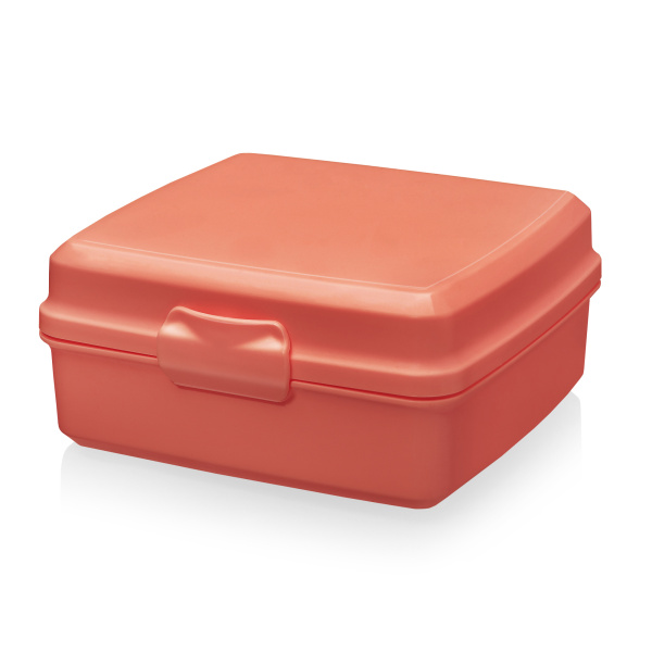 Контейнер "Snack Box"   488 Эльфпласт (45 шт)